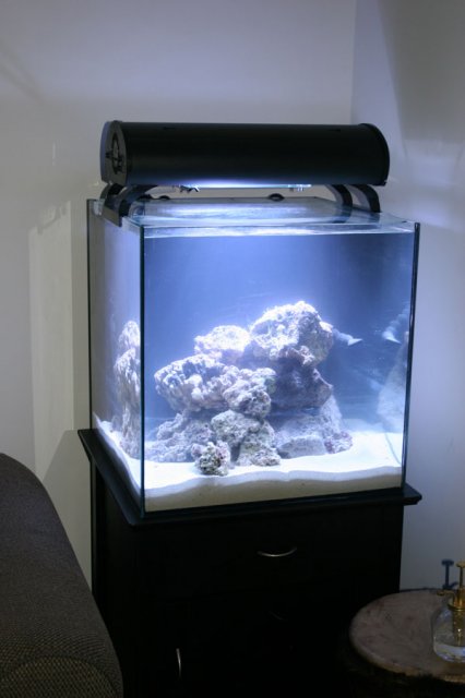 FTS.jpg FTS.jpg