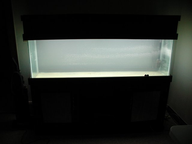 PIC00002.JPG