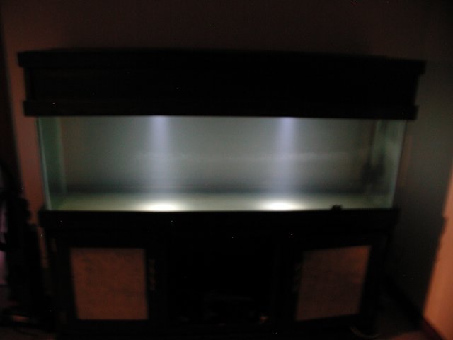 PIC00006.JPG