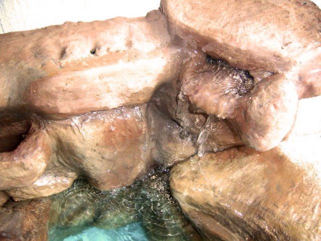 paludarium_1_09.jpg