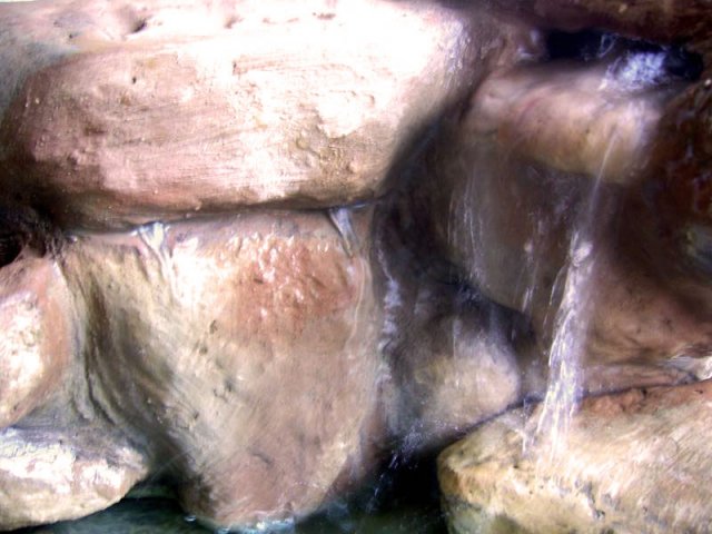 paludarium_1_10.jpg