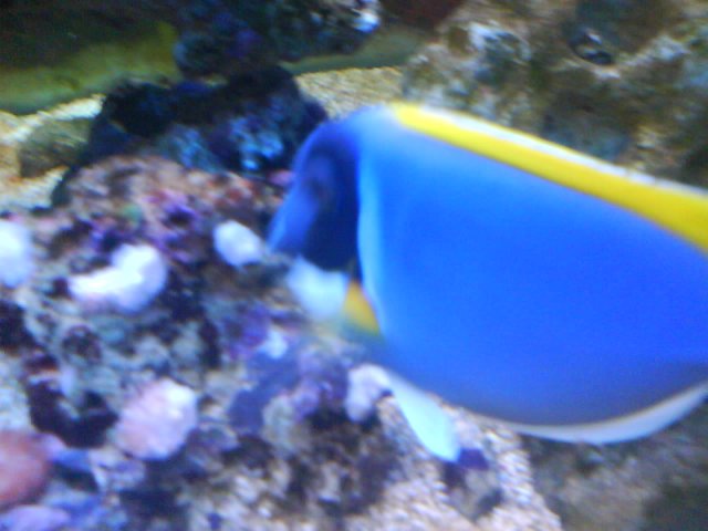 DSC02275.JPG