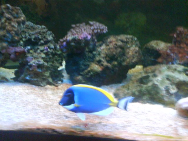 DSC02277.JPG