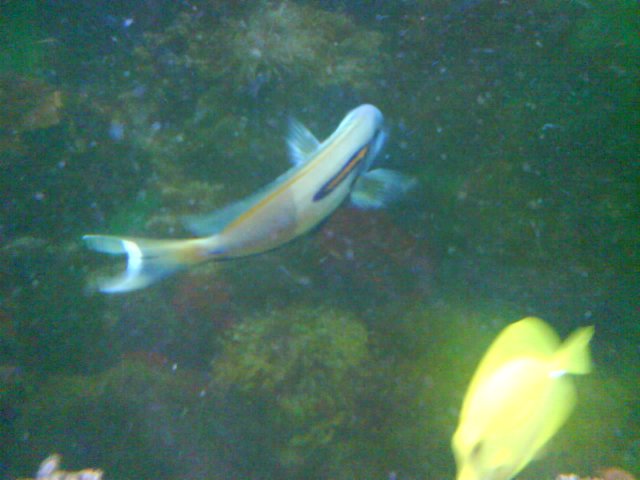 DSC02278.JPG