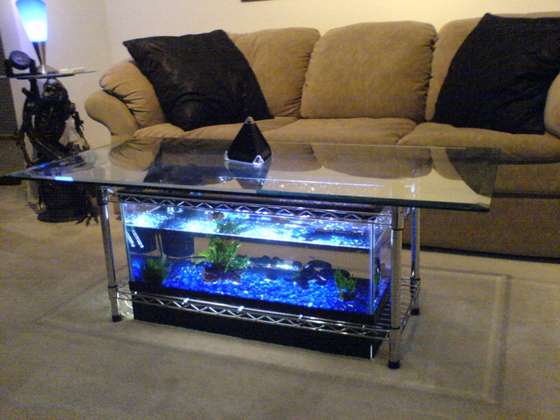 fish tank coffee table.jpg