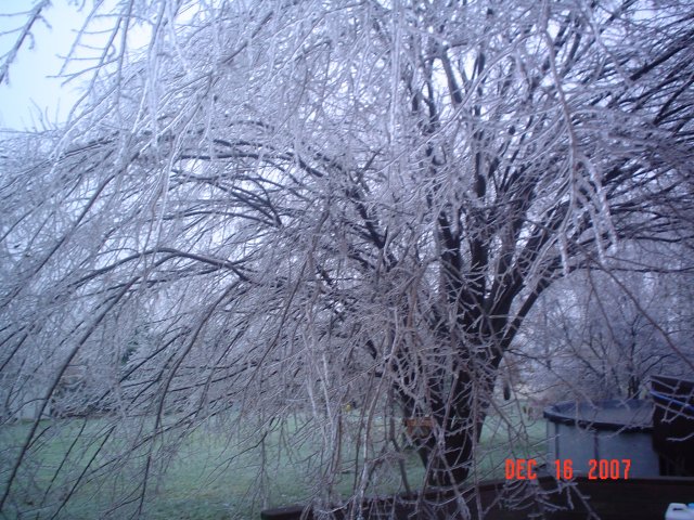 DSC03500.JPG