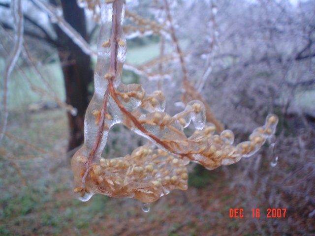 DSC03502.JPG
