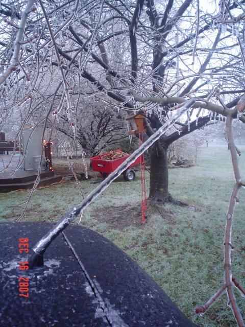 DSC03503.JPG