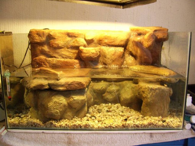 paludarium_1_11.jpg