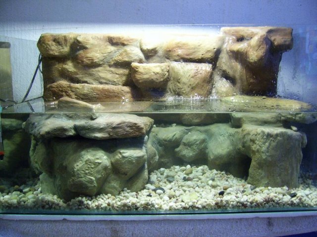 paludarium_1_12.jpg