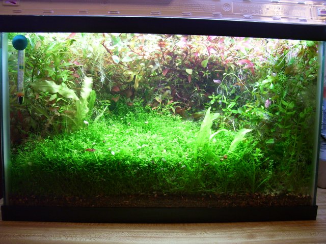 100_0862.JPG