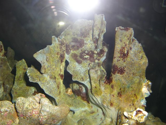 CIMG2053 (Medium).JPG CIMG2053 (Medium).JPG