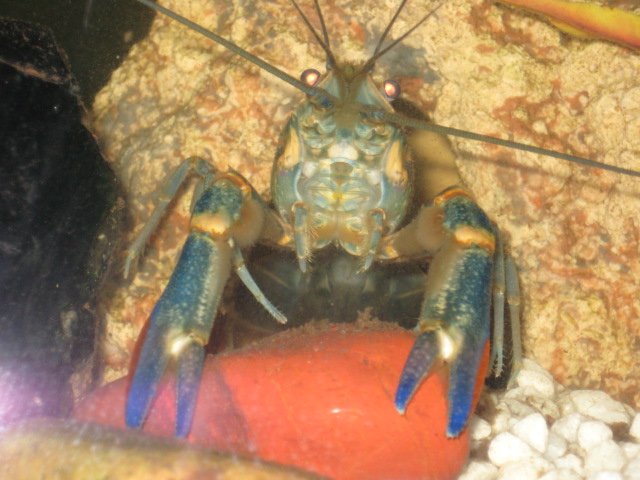 IMG_0471.JPG