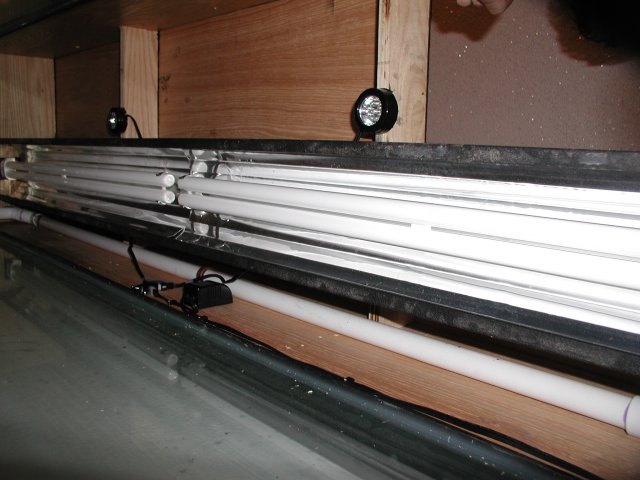 PIC00001.JPG