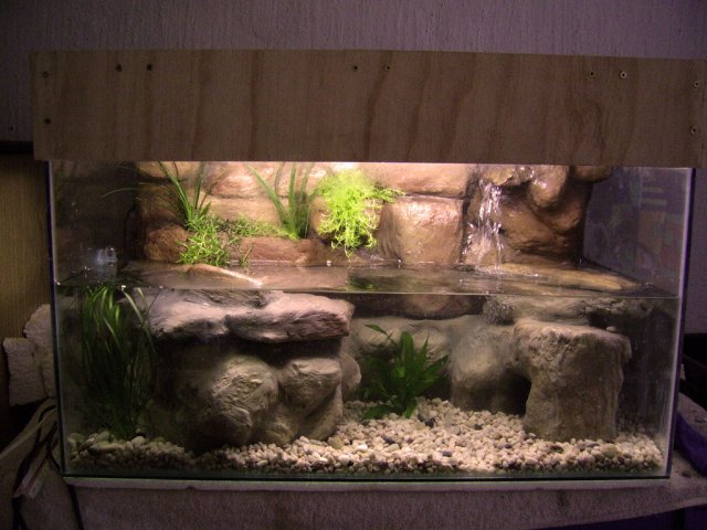 paludarium_1_15.jpg