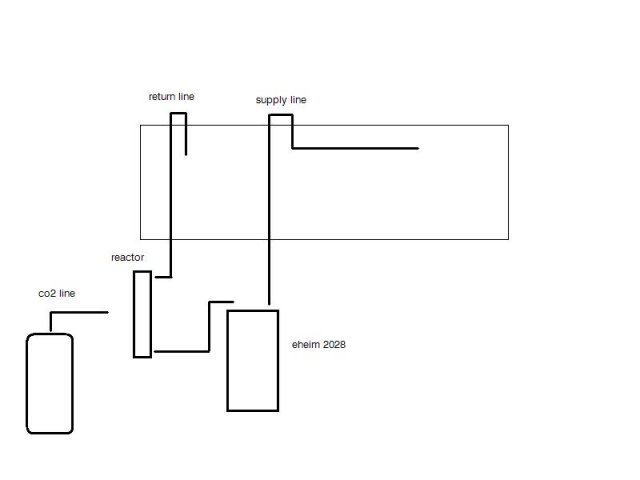 aquarium diagram.JPG