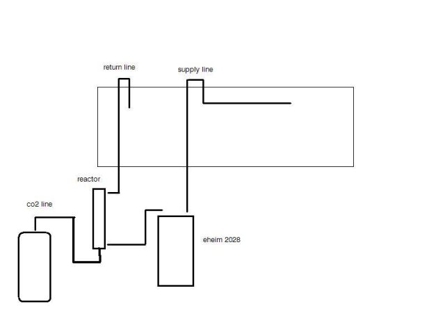 aquarium diagram.JPG