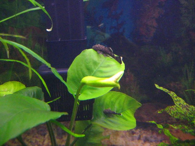 IMG_1053.jpg