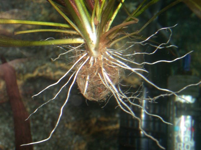 DSCN5065.JPG