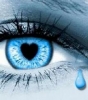 eye1.jpg