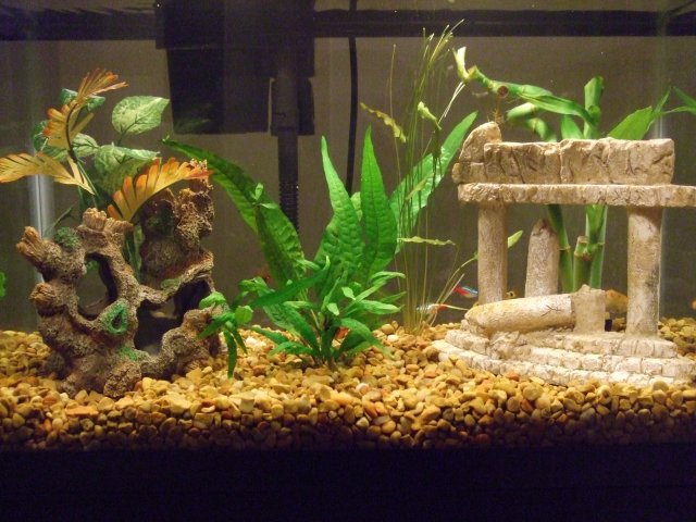 2007_1228new0004.JPG
