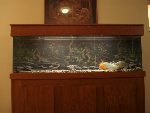 PC290312.JPG