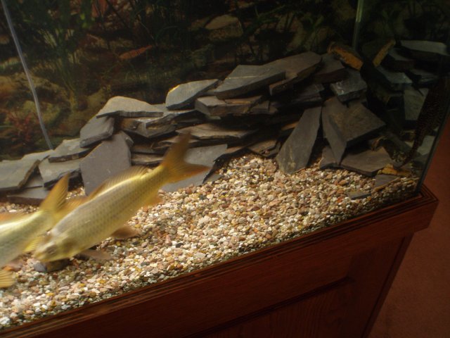 PC290316.JPG