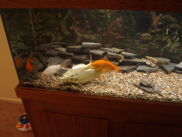 PC290317.JPG