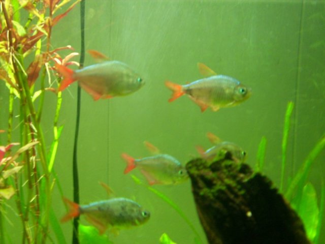 DSCI0036_medium.JPG