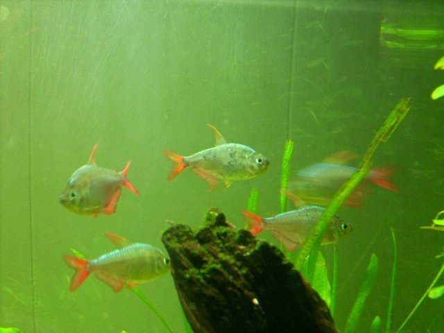 DSCI0038_medium.JPG