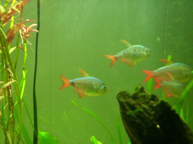 DSCI0040_medium.JPG