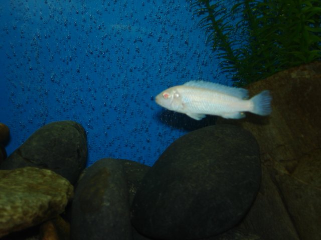 DSC01444.JPG