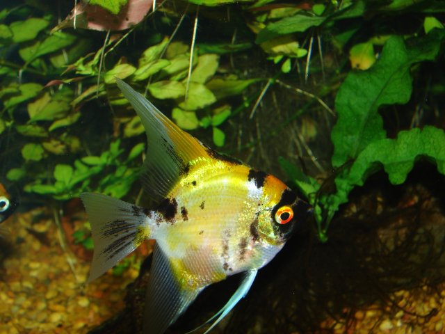 DSC02126.JPG