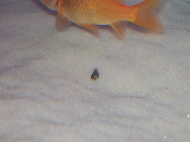 100_1042.JPG 100_1042.JPG