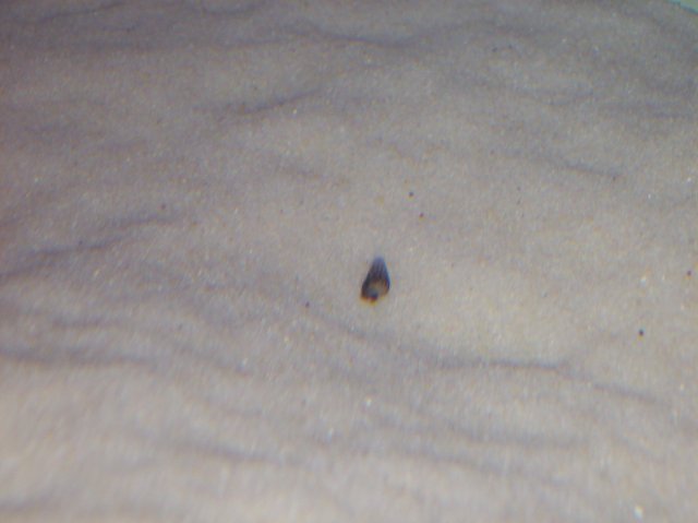 100_1044.JPG 100_1044.JPG