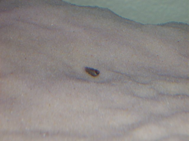 100_1045.JPG 100_1045.JPG