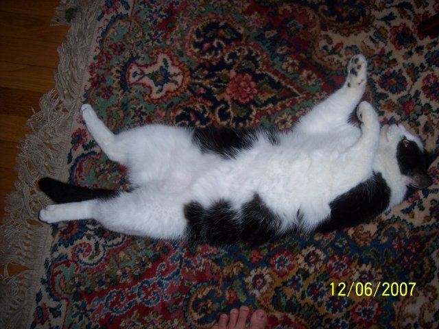 000_5699.JPG