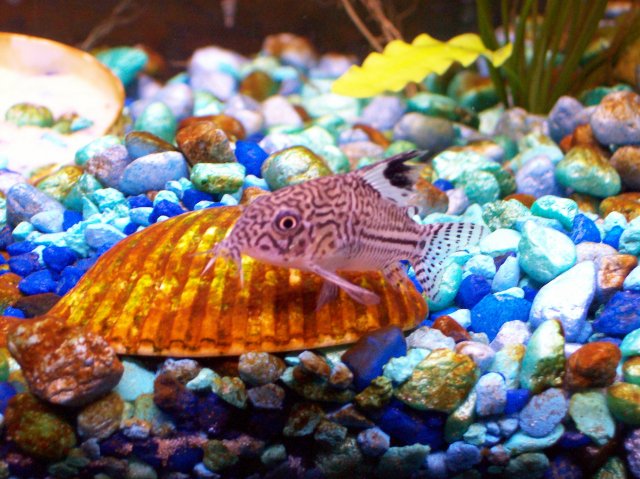 100_1074.JPG 100_1074.JPG