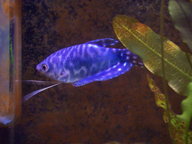 100_1079.JPG 100_1079.JPG