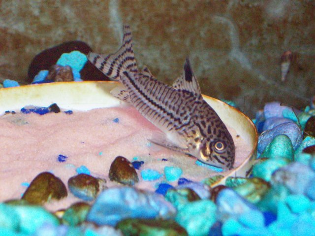 100_1091.JPG 100_1091.JPG