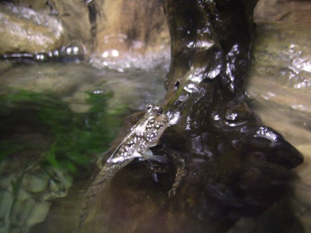 SSA45410.JPG