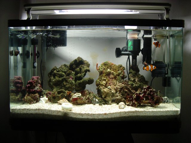 IMGP7038.JPG