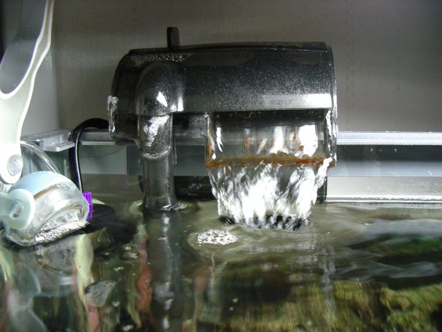 IMGP7040.JPG