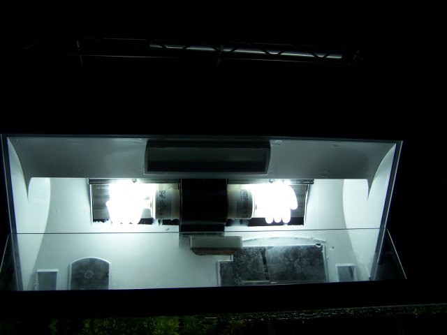 100_2367.JPG