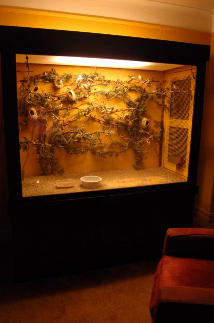 DSC_6406.JPG