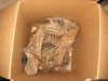 Box of Malaysian Wood.jpg Box of Malaysian Wood.jpg