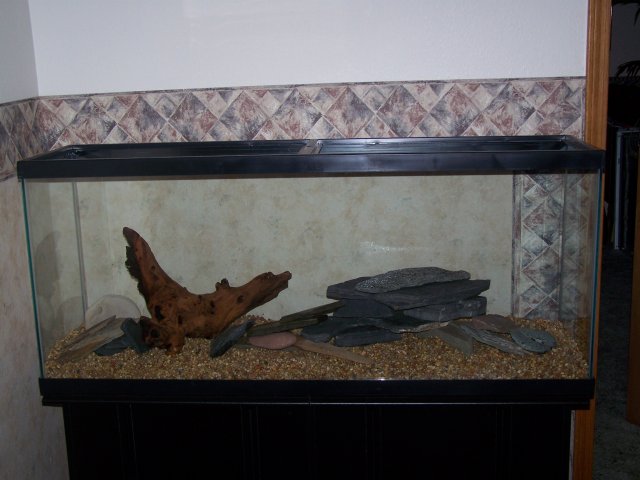 tank2 002.jpg