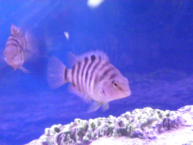 DSCN0286.JPG