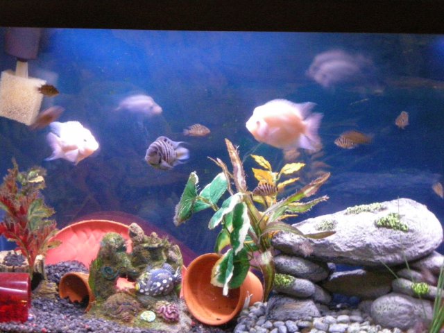DSCN0336.JPG
