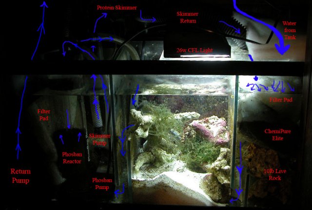 sump 1 Labeled.jpg